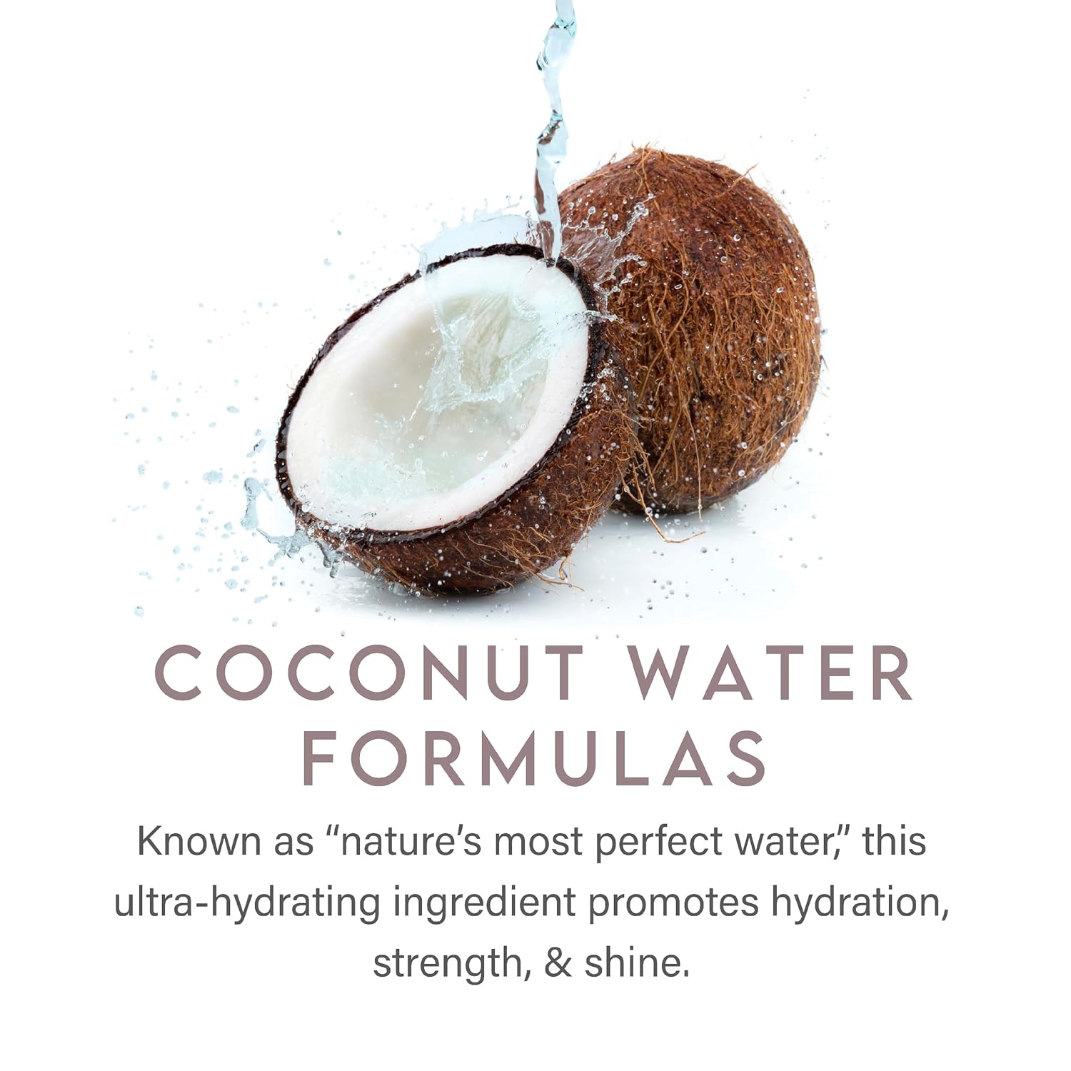 Aluram Coconut Water Moisturizing Conditioner for Men and Women, Clean Hydration and Shine for Medium to Coarse Textured Hair