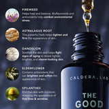 Caldera + Lab The Good | Men's Organic Moisturizing Face Serum for Dry, Sensitive, & Normal Skin –  Natural & Antioxidant Packed Skincare Facial Oil